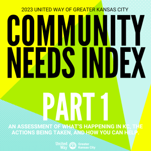 Part 1: Community Needs Index