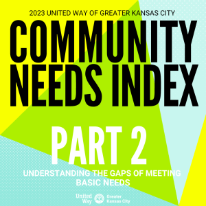 Part 2: Community Needs Index