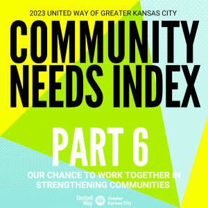 Part 6: Community Needs Index